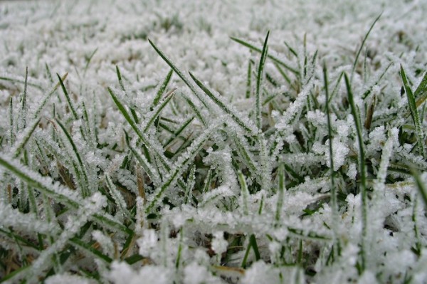 Winterization-knoxville-irrigation-lawn-care-maryville-tn