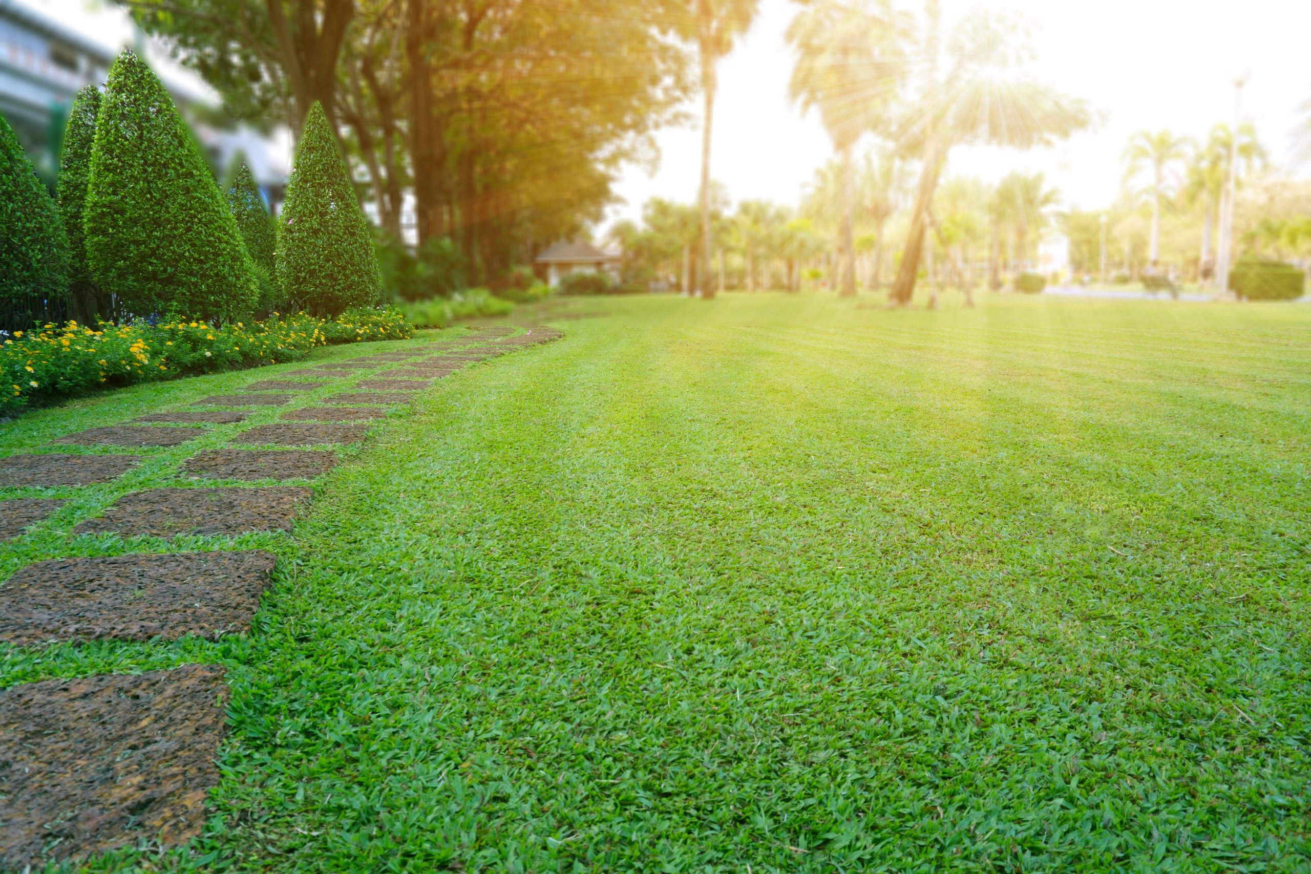 Lawn Care Preparation in East Tennessee | Rainscapes