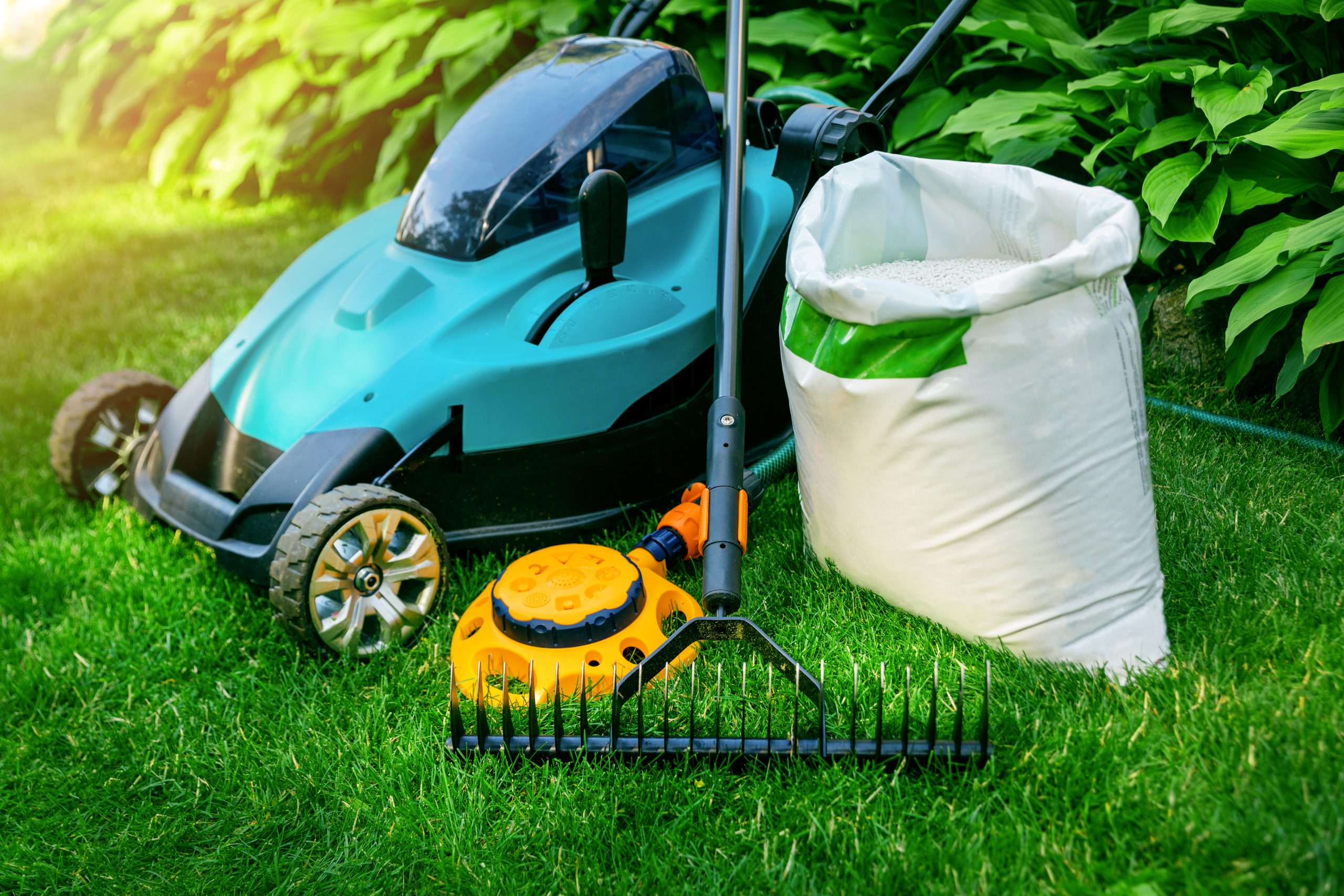 Knoxville and Maryville lawn care services