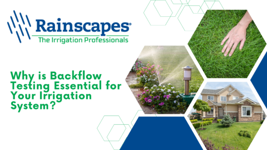 Importance of Backflow Testing for Irrigation Systems | Rainscapes