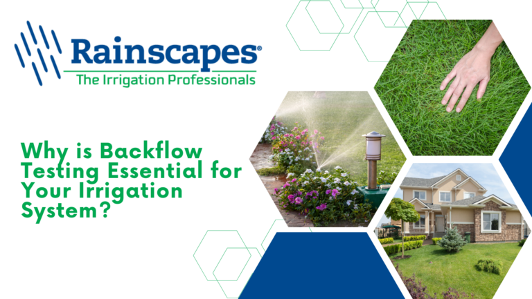 Importance of Backflow Testing for Irrigation Systems | Rainscapes
