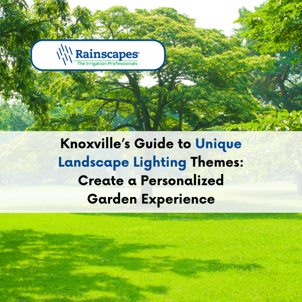 Knoxville's Unique Landscape Lighting Themes Guide Rainscapes