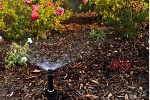 Resolving Common Summer Irrigation Issues-knoxville-irrigation-lawn-care-maryville-tn