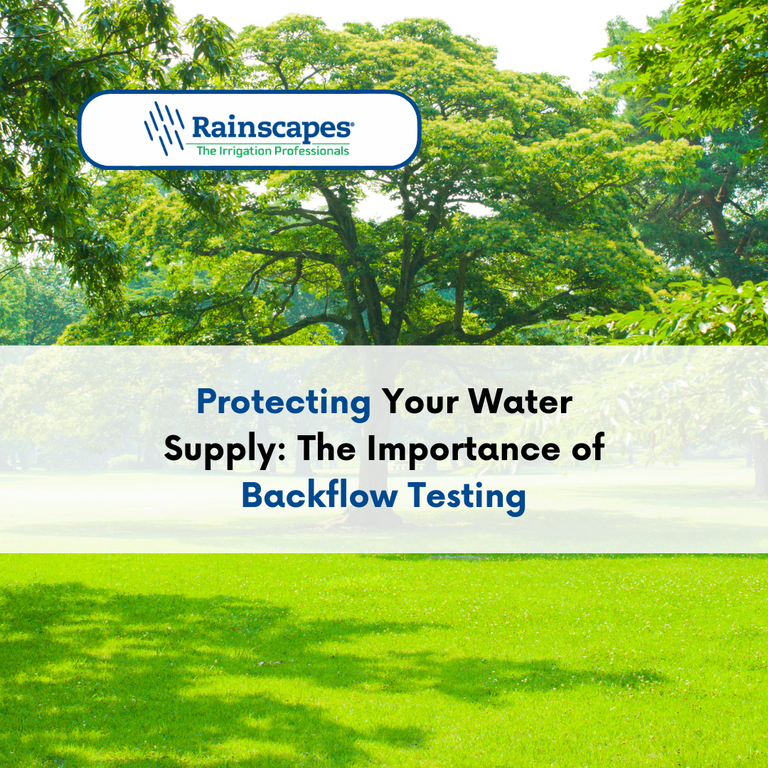 Backflow Testing