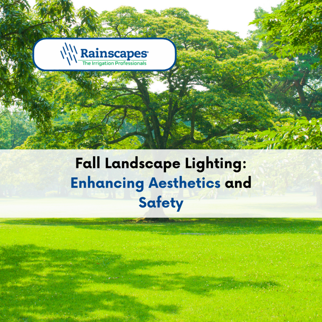 Fall Landscape Lighting Tips for Aesthetics and Safety Rainscapes