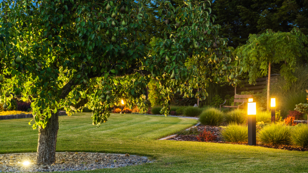 Fall Landscape Lighting: Enhancing Aesthetics and Safety-knoxville-irrigation-lawn-care-maryville-tn