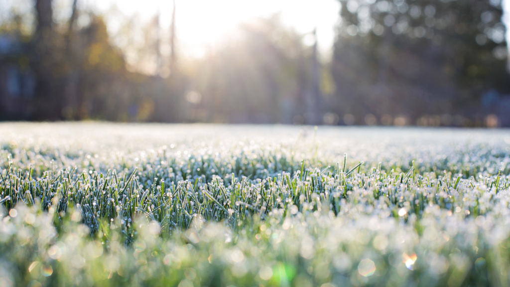 Preparing Your Irrigation System for Knoxville's First Frost-knoxville-irrigation-lawn-care-maryville-tn